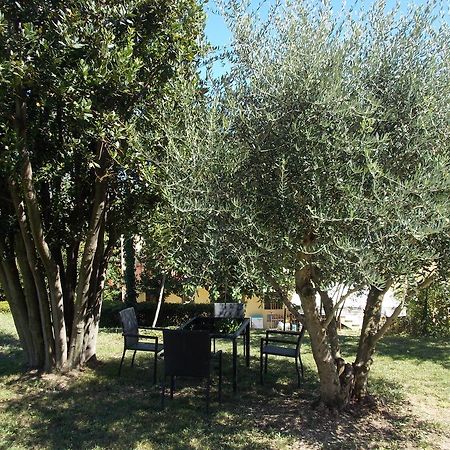 Il Borghetto Apartment San Lorenzo in Campo Ngoại thất bức ảnh