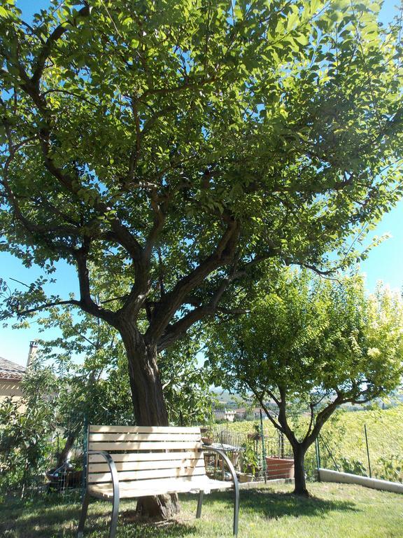 Il Borghetto Apartment San Lorenzo in Campo Ngoại thất bức ảnh