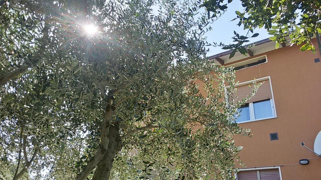 Il Borghetto Apartment San Lorenzo in Campo Ngoại thất bức ảnh